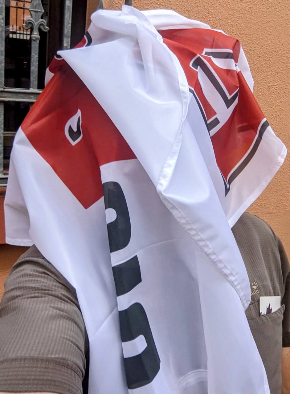 LV-Angebot: PARTEI-Fahne